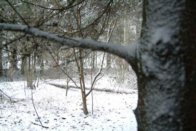 DSCF9673.jpg