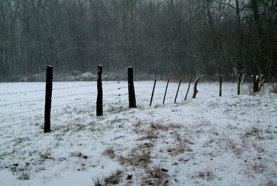 DSCF9685.jpg