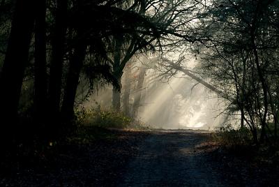 DSCF7497.jpg