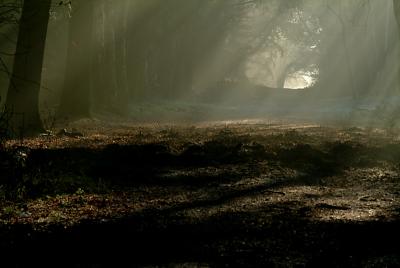 DSCF7532.jpg