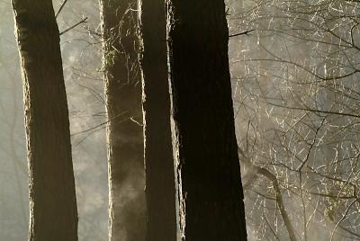 DSCF7543.jpg