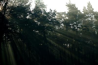 DSCF7546.jpg