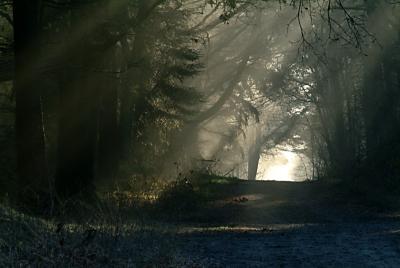 DSCF7556.jpg