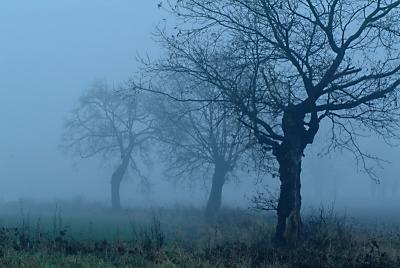 DSCF7651.jpg