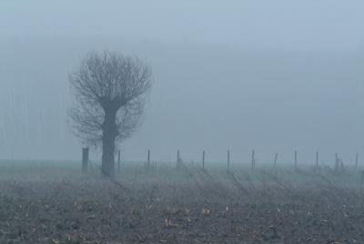 DSCF7640.jpg