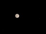 Taken with Canon G2 with teleconverter. Saturn shows his elliptical structure on the rigth side.
