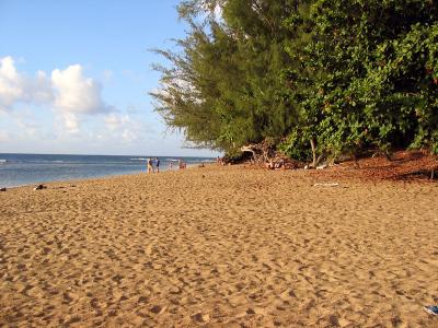 northshore.jpg