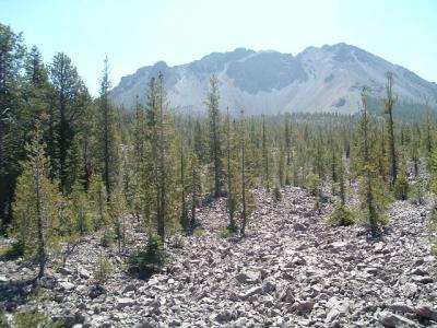 DSCF0742.JPG