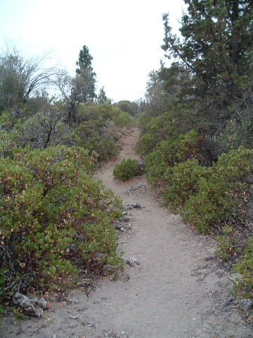 trail2.JPG