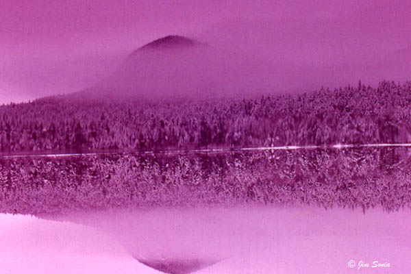 Sawyer Pond