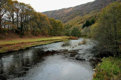 Autumn in Mid Wales.