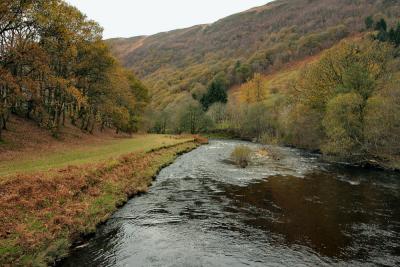 Autumn in Mid Wales.