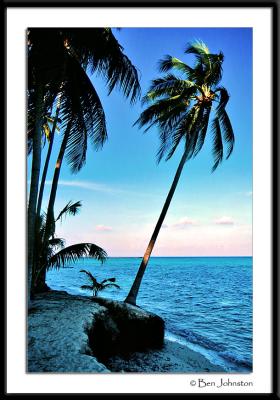 Mabul Island ~ Malaysia Gallery 2004