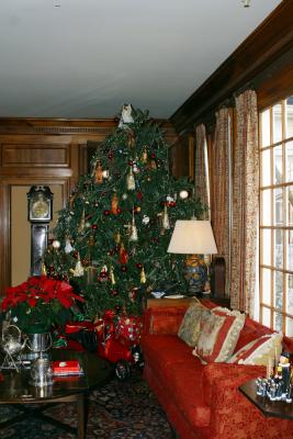 tree.jpg