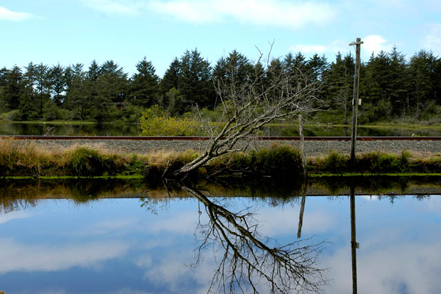 040822 Reflections