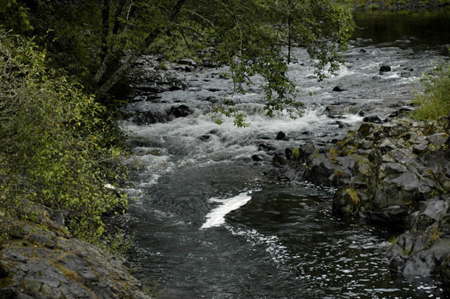 040823 Trask River