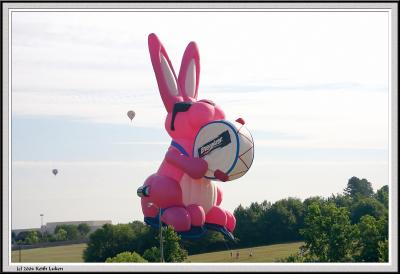 Balloons Bunny - 1101_filtered copy.jpg