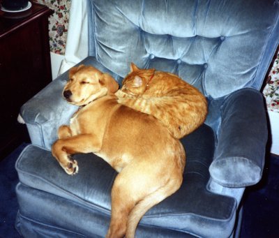 ginger and peach.jpg