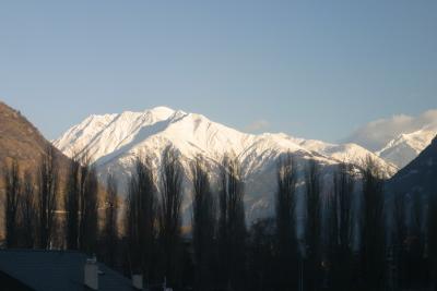 IMG_4278.JPG
