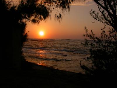Royal Coconut Coast Sunrise