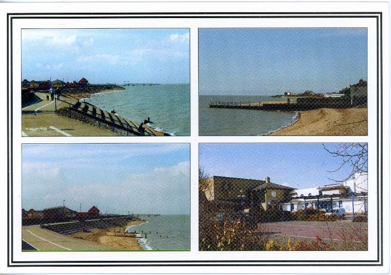 Multi view card