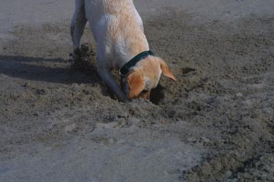 I know your in there!!