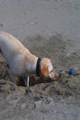 Hey!  How did you get out of the hole!!
