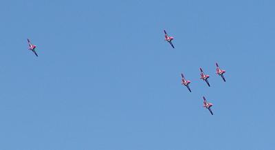 Snowbirds3.jpg