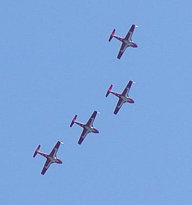 Snowbirds15.jpg