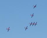 Snowbirds1.jpg