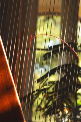 H is for Harp broken strings can leave spaces