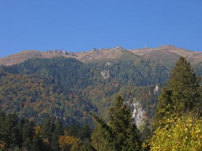 beautiful Carpathian mountains in Transylvania