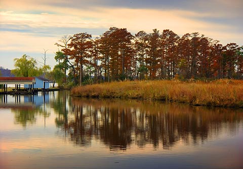 Pamlico River Scene