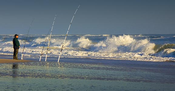 Surf Fishing