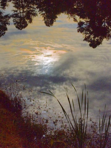 Morning Sun Reflection