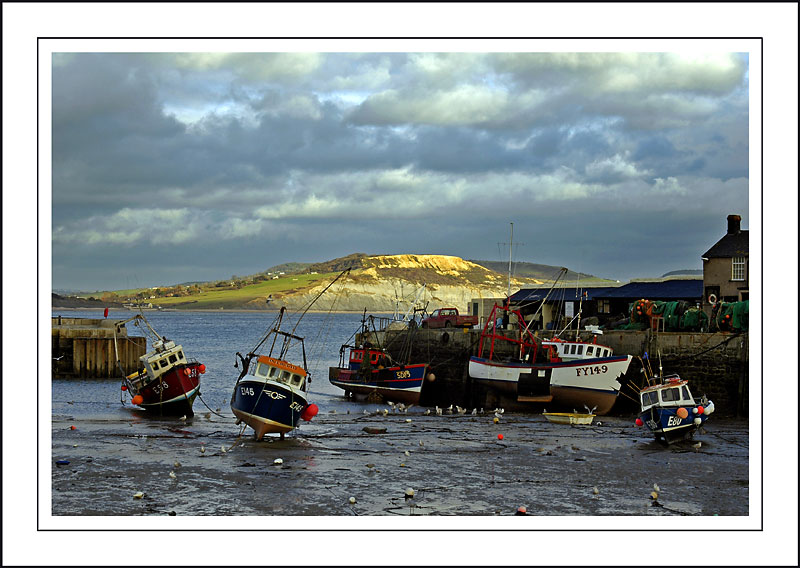 High and dry at Lyme Regis, Dorset (2289)