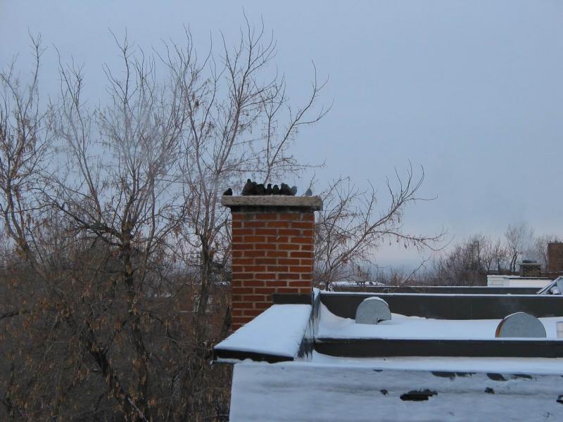 img_20030117_002.jpg