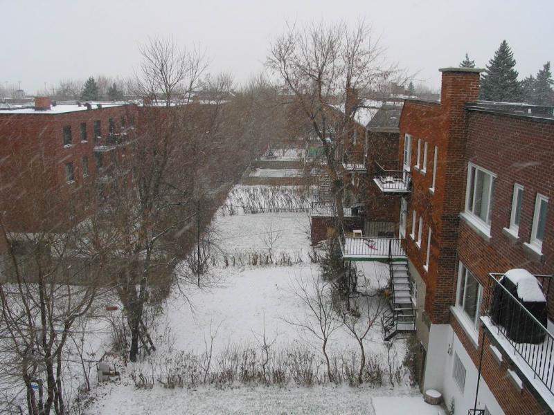 img_20011129_002.jpg