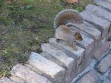 img-20011028-014.jpg
