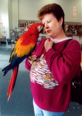 Bird-Shoppe-054.jpg