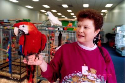 Bird-Shoppe-053.jpg