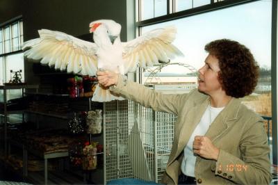Bird-Shoppe-051.jpg