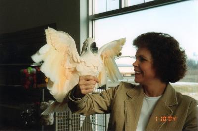 Bird-Shoppe-050.jpg