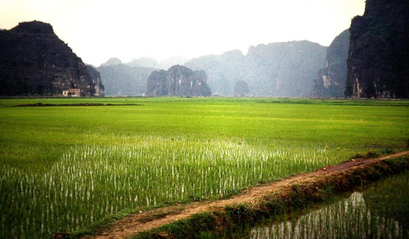 Hoa Lu. Ninh Binh