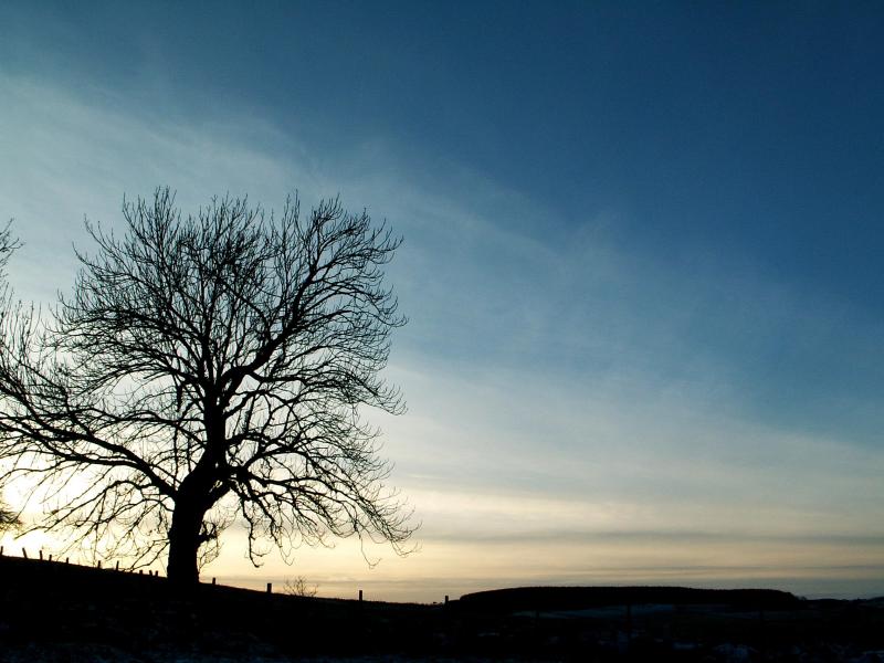 Pict0023a.jpg