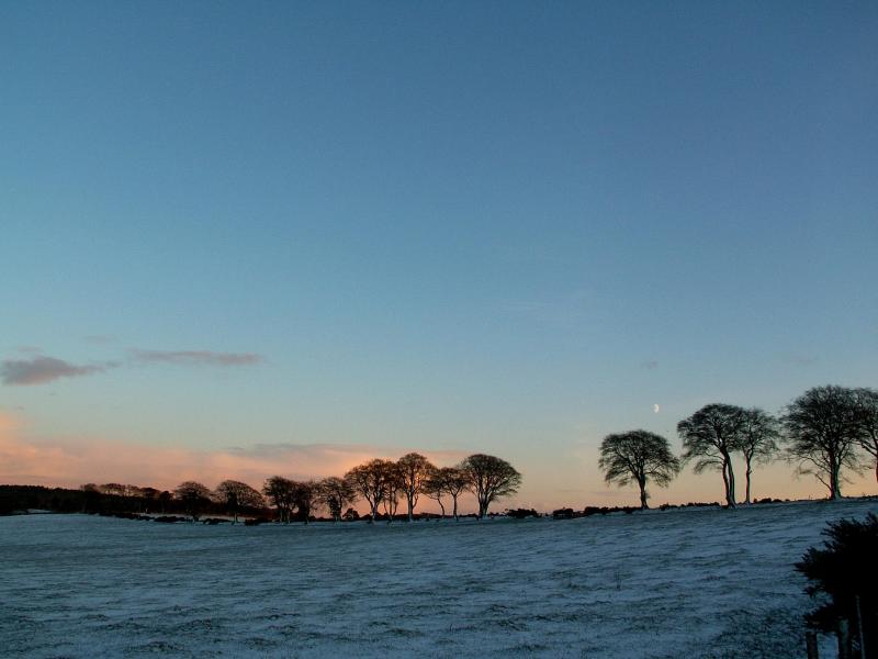 19th November, first snow