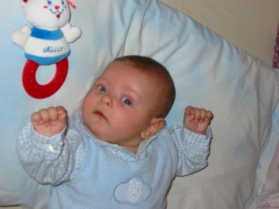 113-1304_IMG.JPG