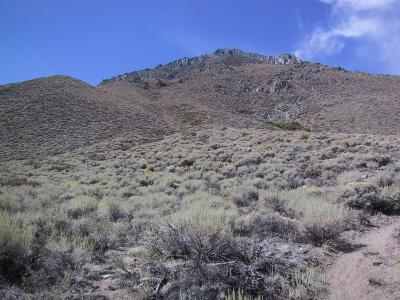 9/22 12:28PM: Mount Tinemaha from the Red Creek Trailhead