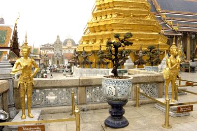 DSC_2297c.jpg