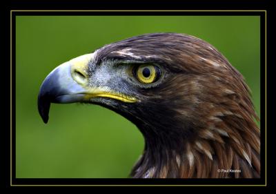 IMG_2925.jpg